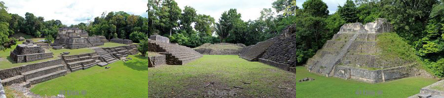 belize san ignacio maya ruines caracol