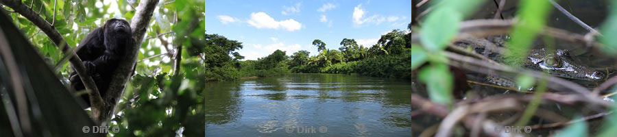 monkey river belize placencia
