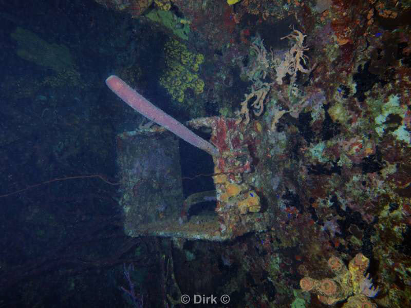 scuba diving bonaire