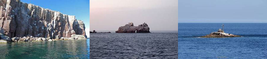 fotos la reina los islotes zee van cortez