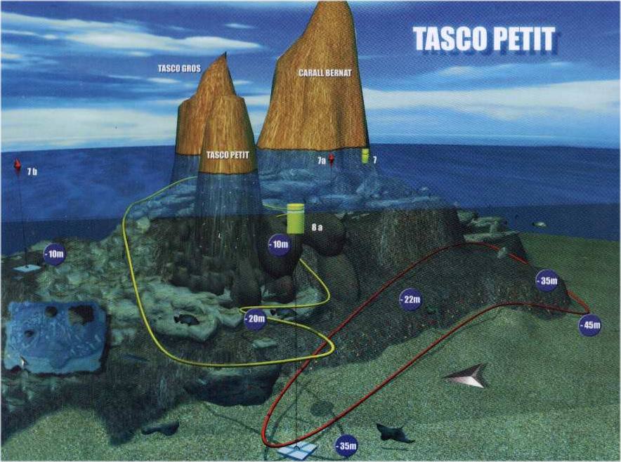 diving Medes islands tasco-petit