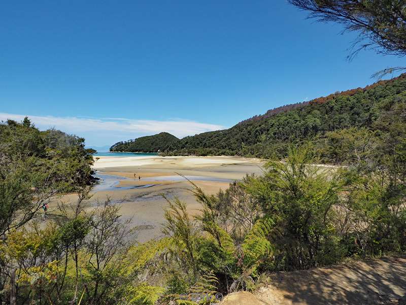 new zealand abel tasman national park