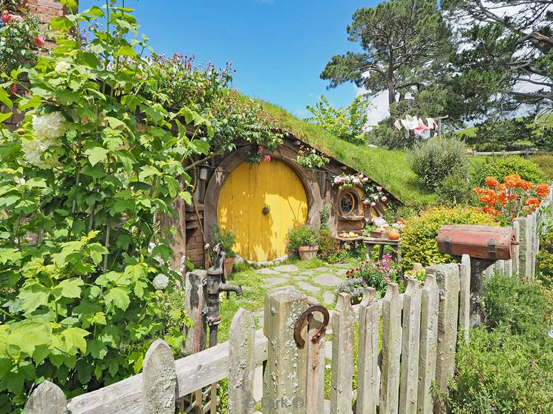 new zealand lord of the rings the hobbit