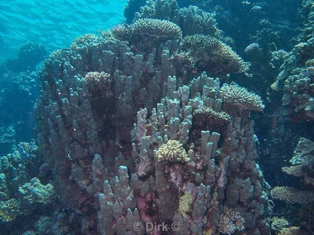 scuba diving duiken egypte