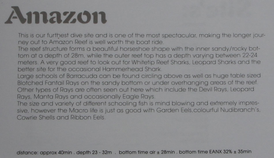 discription dive site mozambique tofo amazon