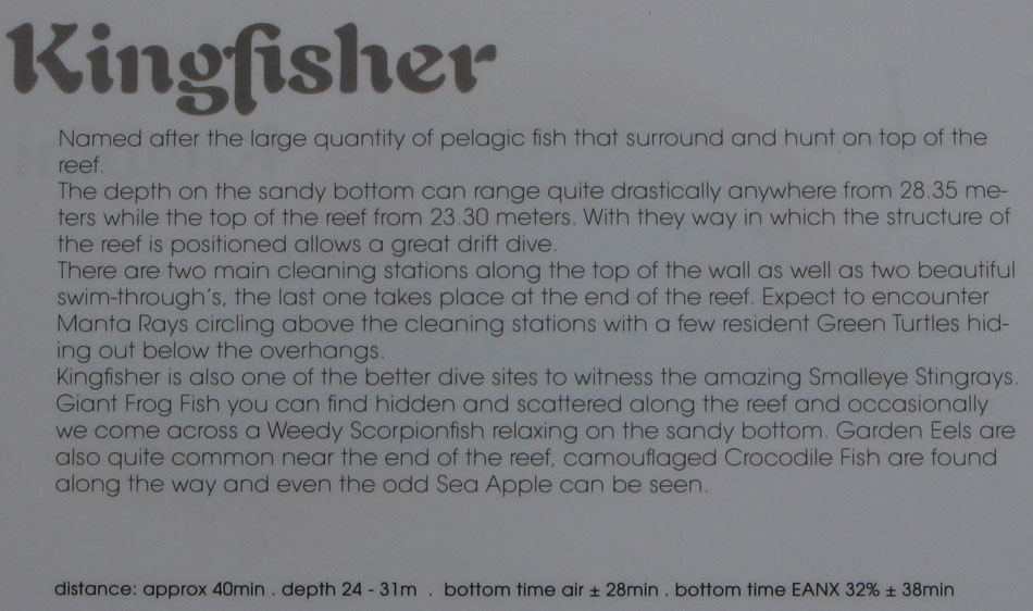 omschrijving duikplaats mozambique tofo kingfisher