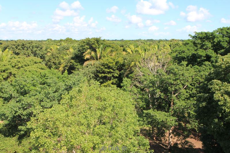 belize altun ha