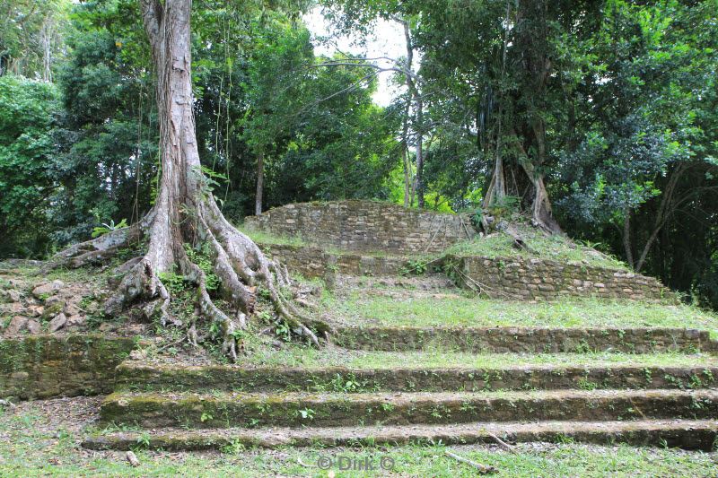 belize caracol san ignacio