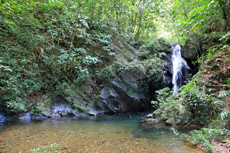 belize placentcia cockscomb jaguar