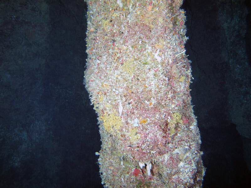 duiken belize 