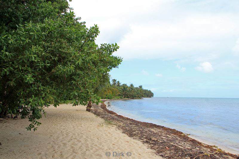 belize lighthouse reef strand