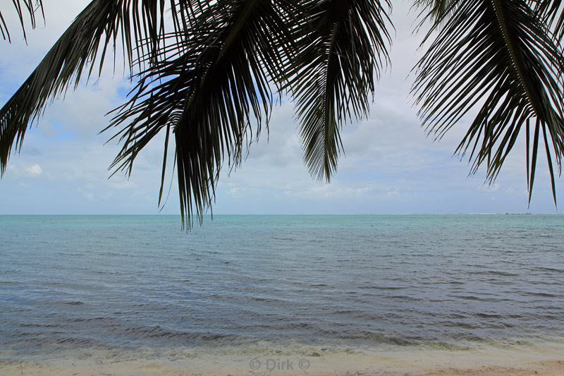 belize lighthouse reef caribbean sea