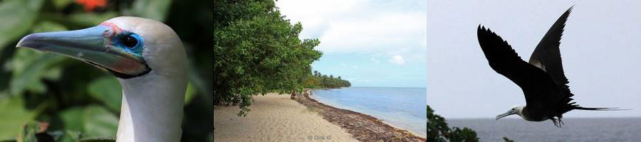 belize half moon caye lighthouse reef caribbean sea