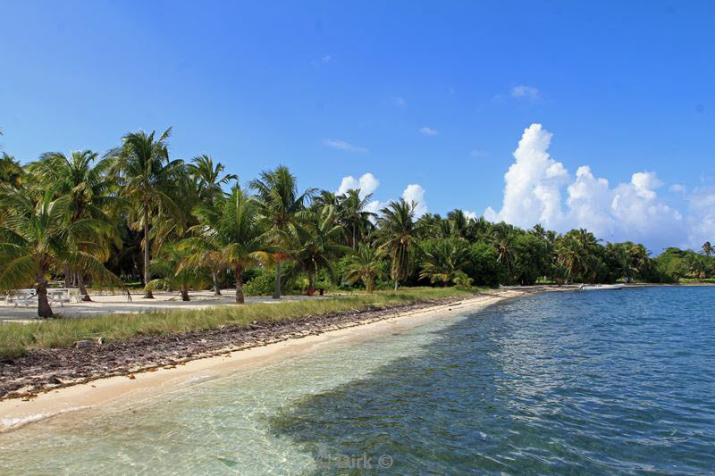 belize lighthouse reef strand