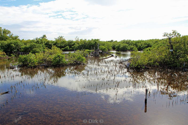 belize long caye lighthouse reef caribbean sea