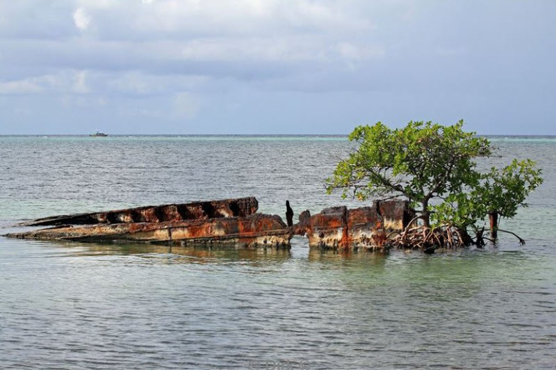 belize long caye lighthouse reef caribbean sea