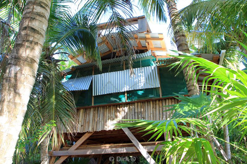 belize long caye lighthouse reef caribbean sea