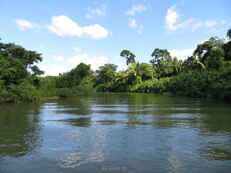 belize placentcia monkey river