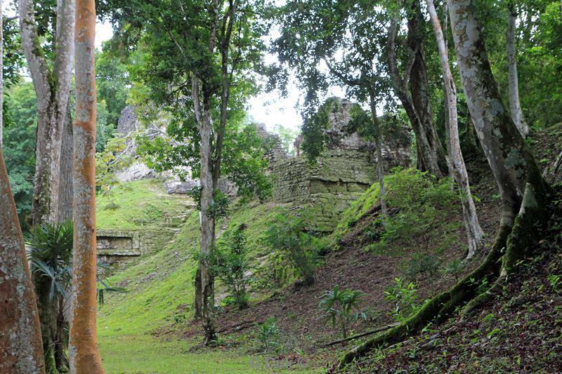 tikal guatemala flores