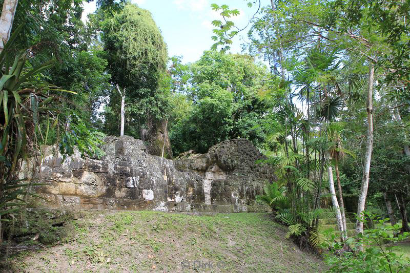 tikal guatemala flores