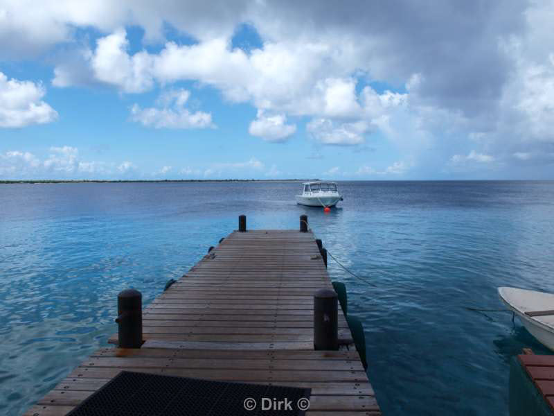 hotel buddy dive in bonaire