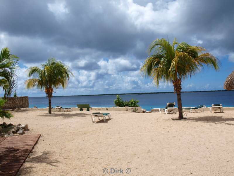 hotel buddy dive in bonaire