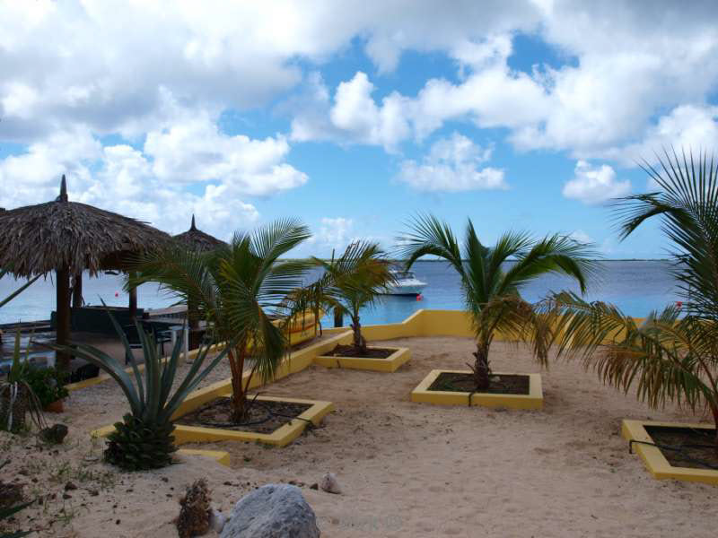 hotel buddy dive in bonaire