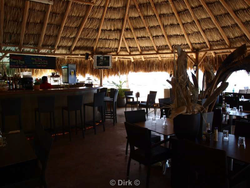 hotel buddy dive in bonaire