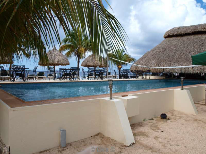 hotel buddy dive in bonaire