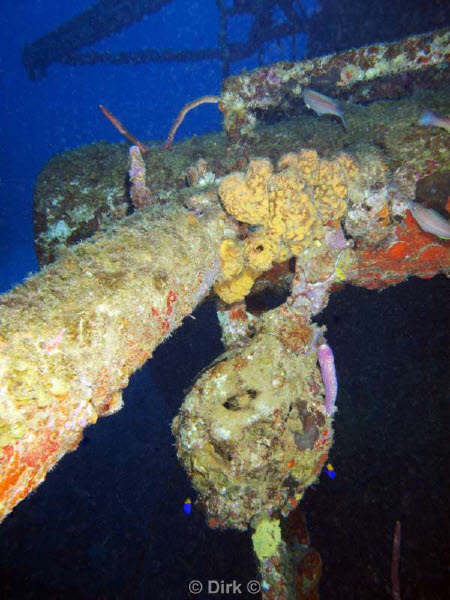 scuba diving bonaire