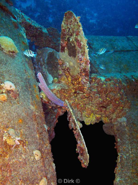 scuba diving bonaire