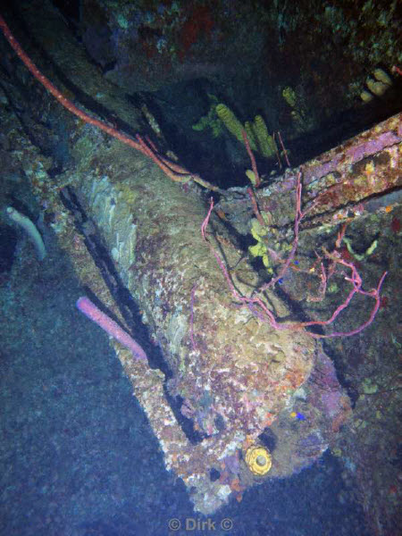 scuba diving bonaire