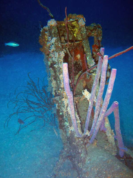 scuba diving bonaire