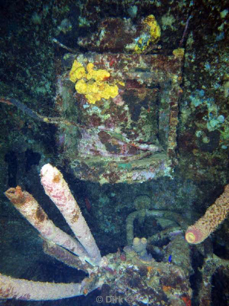 scuba diving bonaire