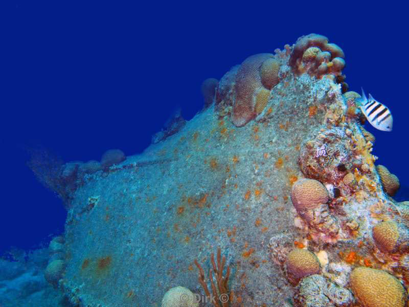 scuba diving bonaire