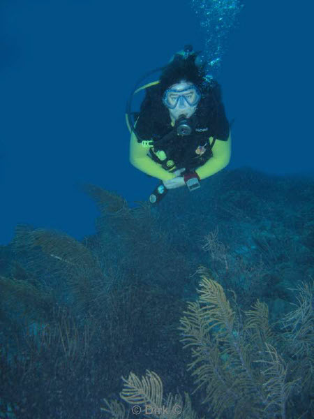 divers bonaire