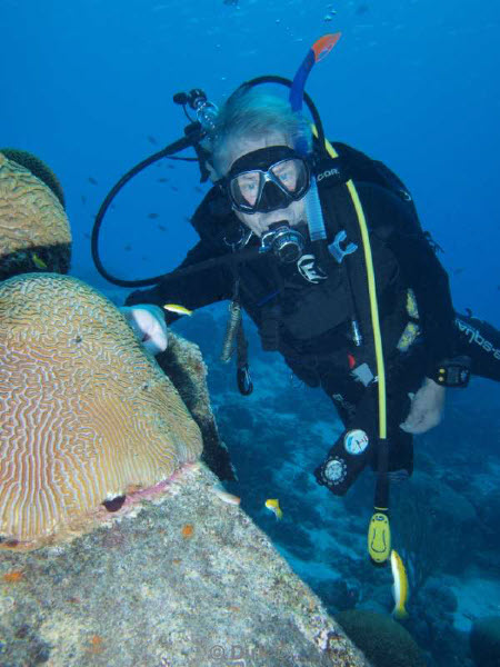 divers bonaire