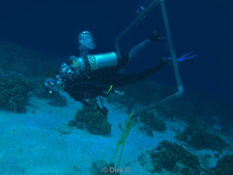 divers bonaire