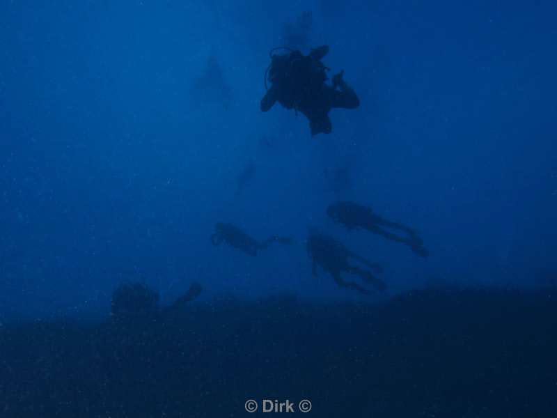 divers bonaire