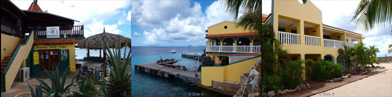 hotel buddy dive bonaire