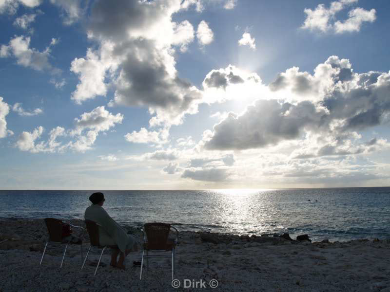 landscape animals bonaire