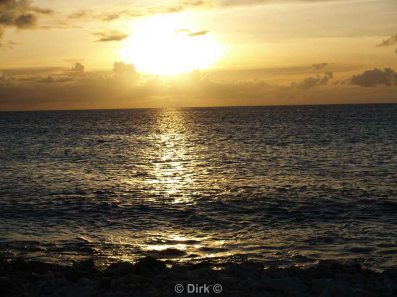 landschap dieren bonaire