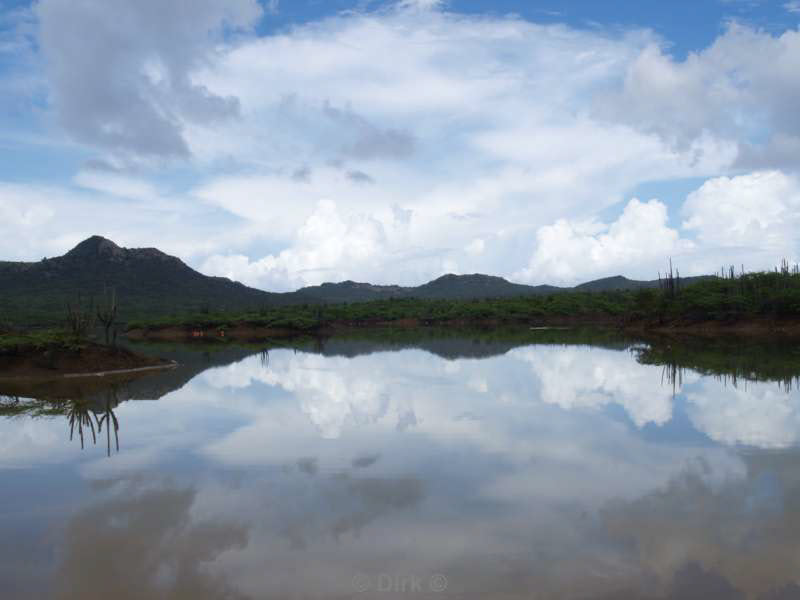 landschap dieren bonaire