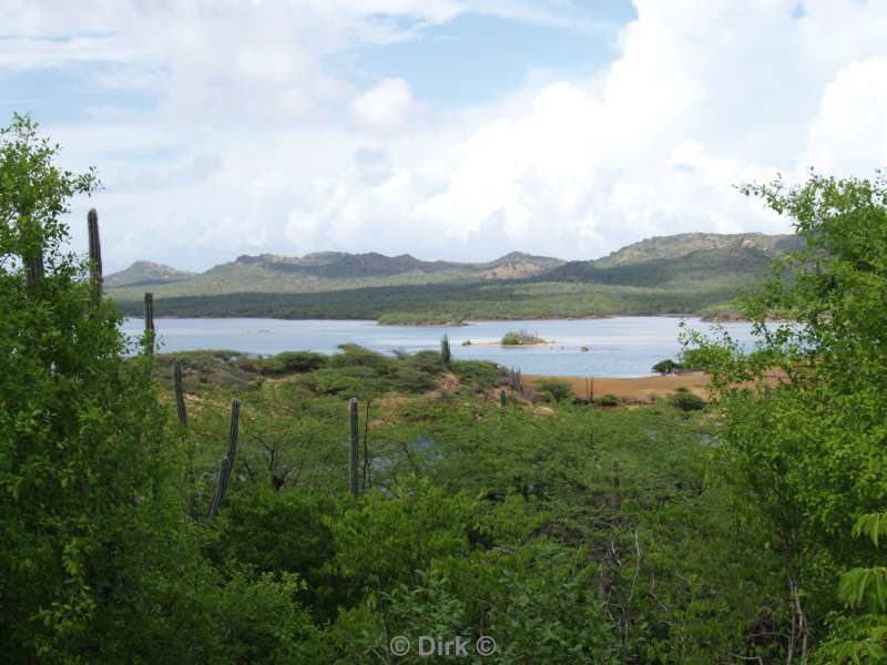 landschap dieren bonaire