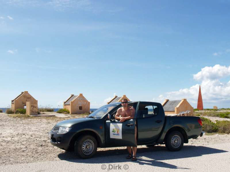 landscape animals bonaire