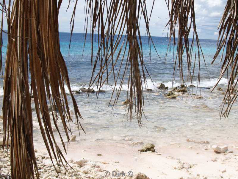 landschap dieren bonaire