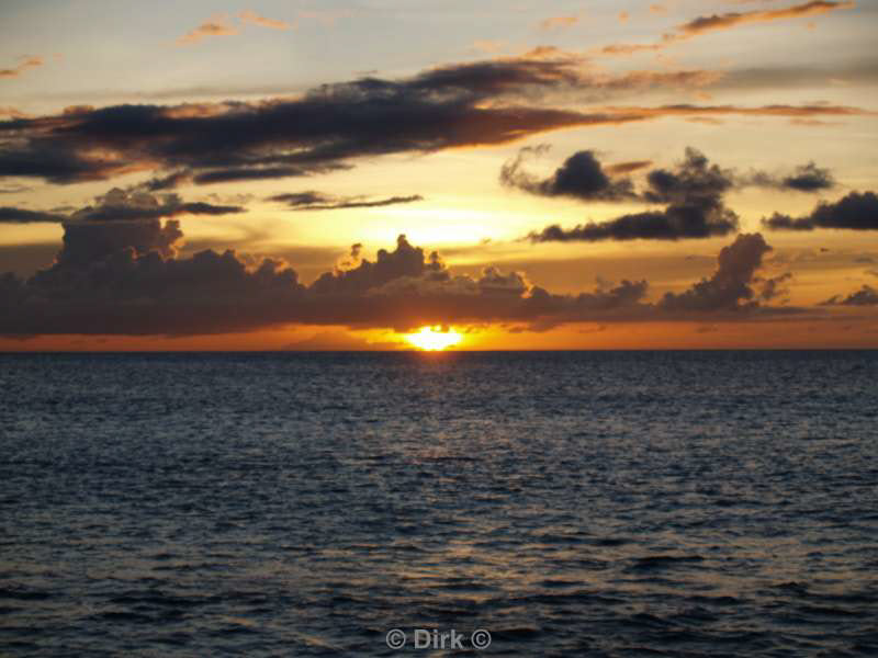 landschap dieren bonaire