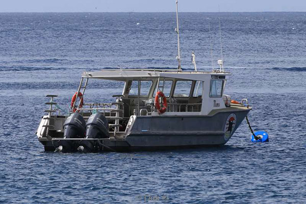 boot extra divers christmas island