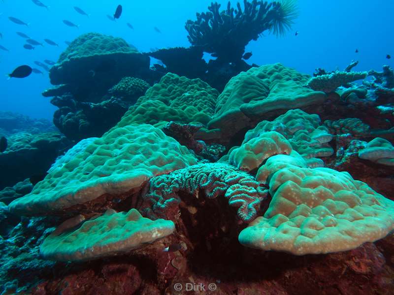 diving christmas island