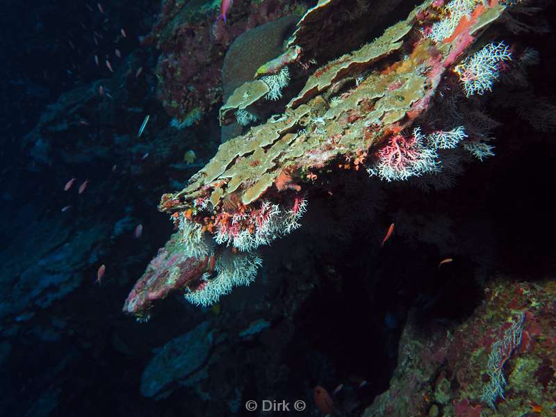 diving christmas island